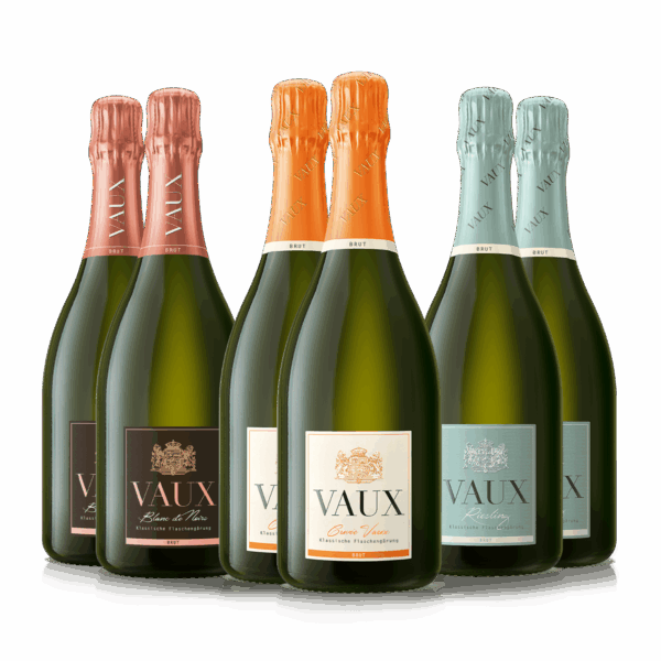 VAUX ist bunt Klassik