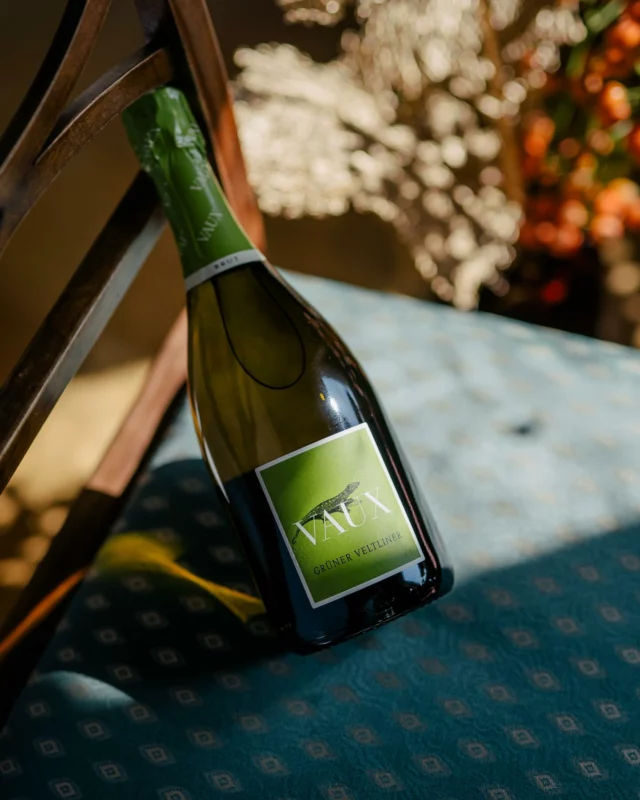 Sieht so ein bisschen aus, wie ein „Star is born“ – Hidden Champion, scheinbar underdog aber unter uns, bei uns bei VAUX gehört er zu mit den beliebtesten Sekten der Familie – gell Nick 😊. Grüner Veltliner ist in diesem Jahr mit großem Abstand das genialste, was man zum Spargel trinken kann.

#grünerveltliner #spargel #foodandwine #pairing #schlossvaux #vaux #rheingau #tradition #sekt #sektmacher #sparkling #sektrevolution #wine #winelover #sommelier #instawine #winestagram #winetime #wineanddine