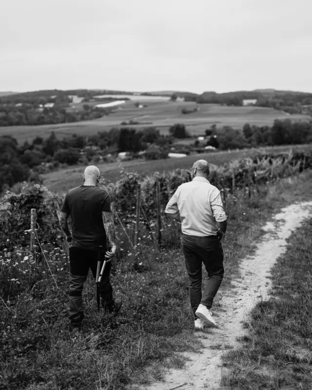 Die Spannung steigt. Je länger die Vegetationsperiode dauert, desto häufiger sieht man Flo und Christoph durch die Weinberge streifen, bereits zu planen, nachzudenken, sich auszutauschen und natürlich den Trauben beim hoffentlich gesunden Wachsen zuzusehen. ☺️🍇
#weinberge #vineyards #reben #vines #viticulture #grapes #trauben #schlossvaux #vaux #rheingau #tradition #sekt #sektmacher #sparkling #sektrevolution #wine #winelover #sommelier #instawine #winestagram
